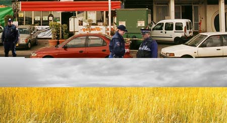 Learn Dutch - Nederlands Leren - Civic Integration - Inburgeringsexamen